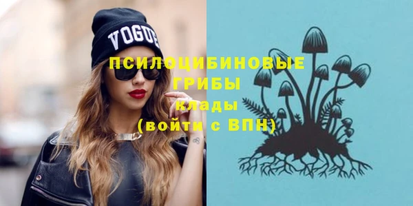 МДПВ Великий Новгород