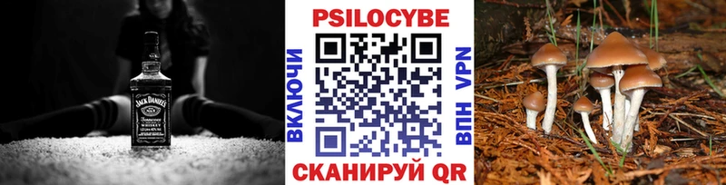 Галлюциногенные грибы MAGIC MUSHROOMS Железноводск