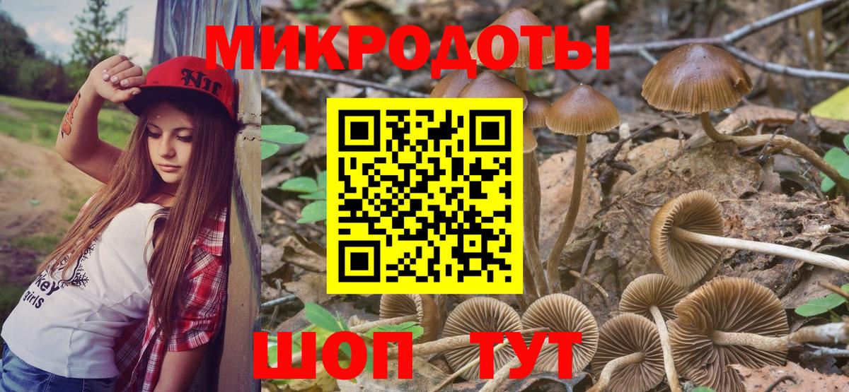 закладки  Галлюциногенные грибы MAGIC MUSHROOMS  Вход с VPN  Железноводск  Галлюциногенные грибы GOLDEN TEACHER 