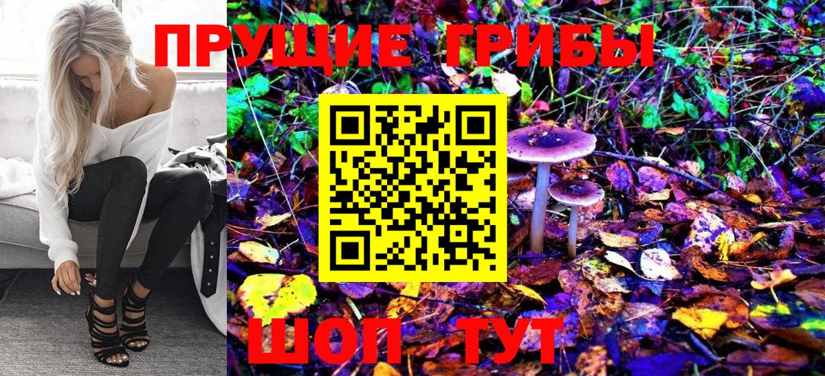 Псилоцибиновые грибы MAGIC MUSHROOMS Железноводск