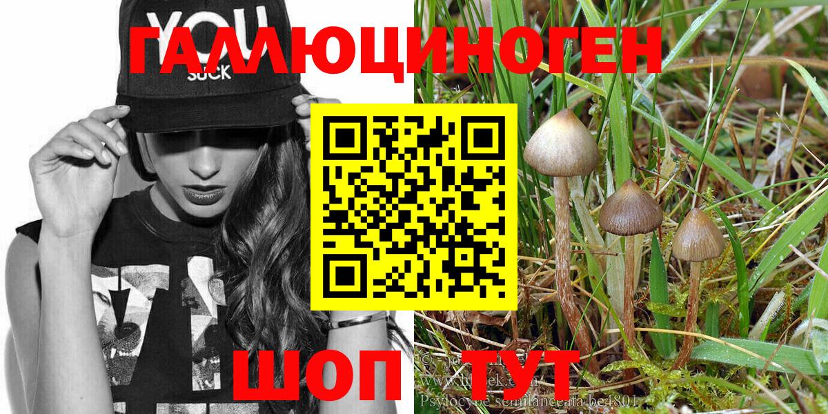 Галлюциногенные грибы мухоморы  хочу   Железноводск 
